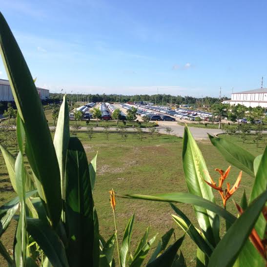 xe điện phú phong phục vụ khách tham quan tại chu lai trường hải